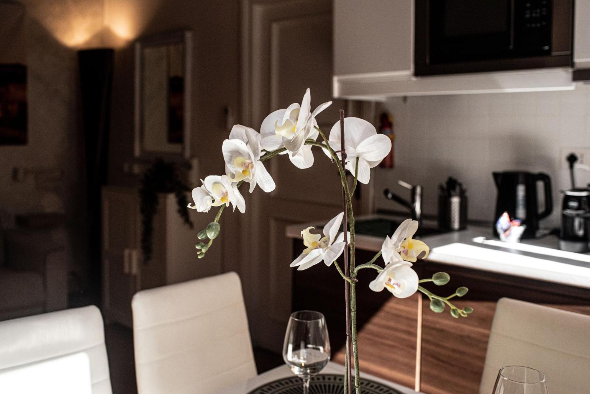 רומא Spanish Steps Apartment & Terrace מראה חיצוני תמונה