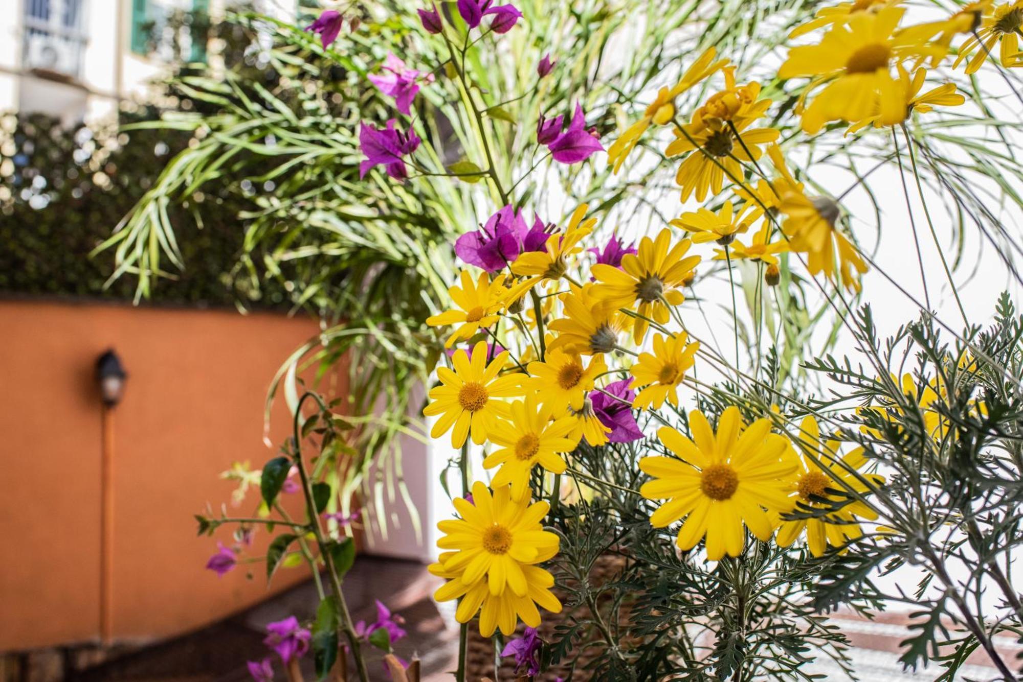 רומא Spanish Steps Apartment & Terrace מראה חיצוני תמונה